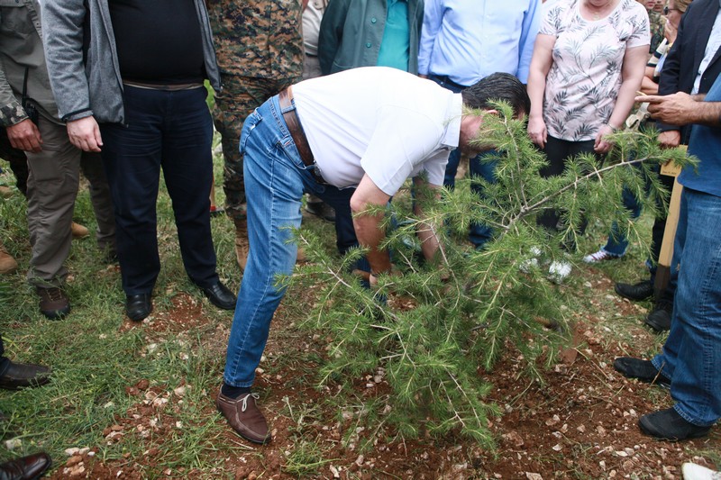 Cedar tree in memory of the Lebanese Commandos Regiment founder